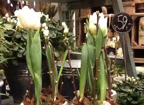 Frøken Flora